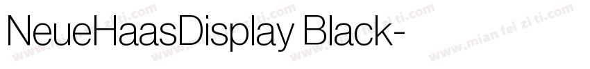 NeueHaasDisplay Black字体转换